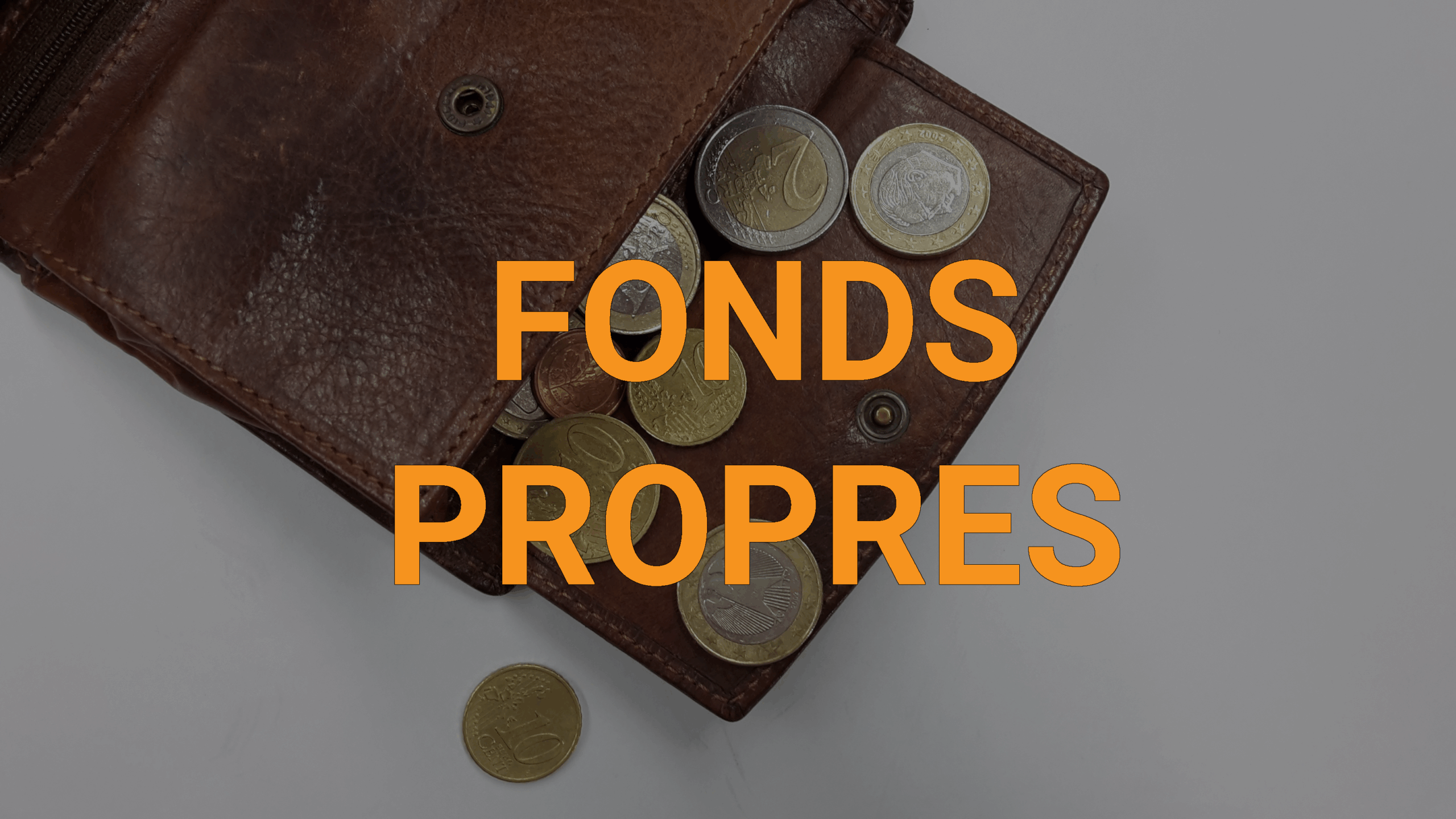 fonds propres